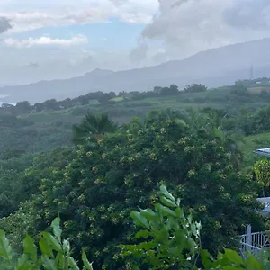 Mango , Le Carbet Martinique